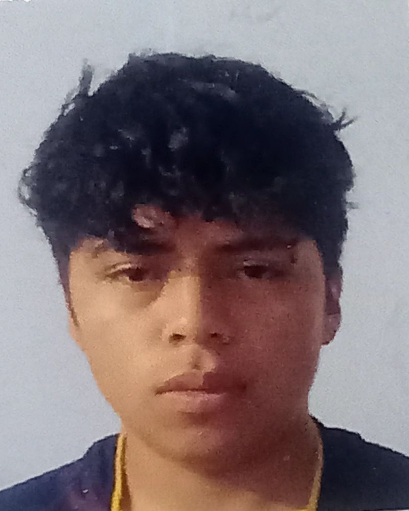 User Image